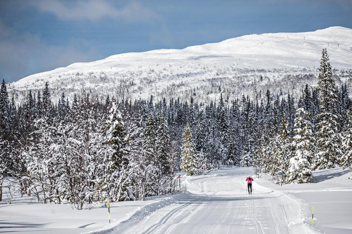 Koeja Fjaellhotell Edsasdalen エクステリア 写真