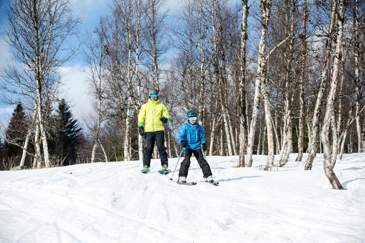 Koeja Fjaellhotell Edsasdalen エクステリア 写真