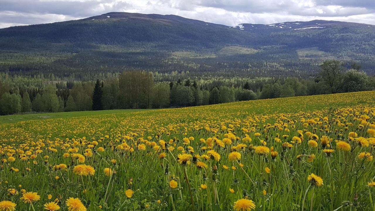 Koeja Fjaellhotell Edsasdalen エクステリア 写真