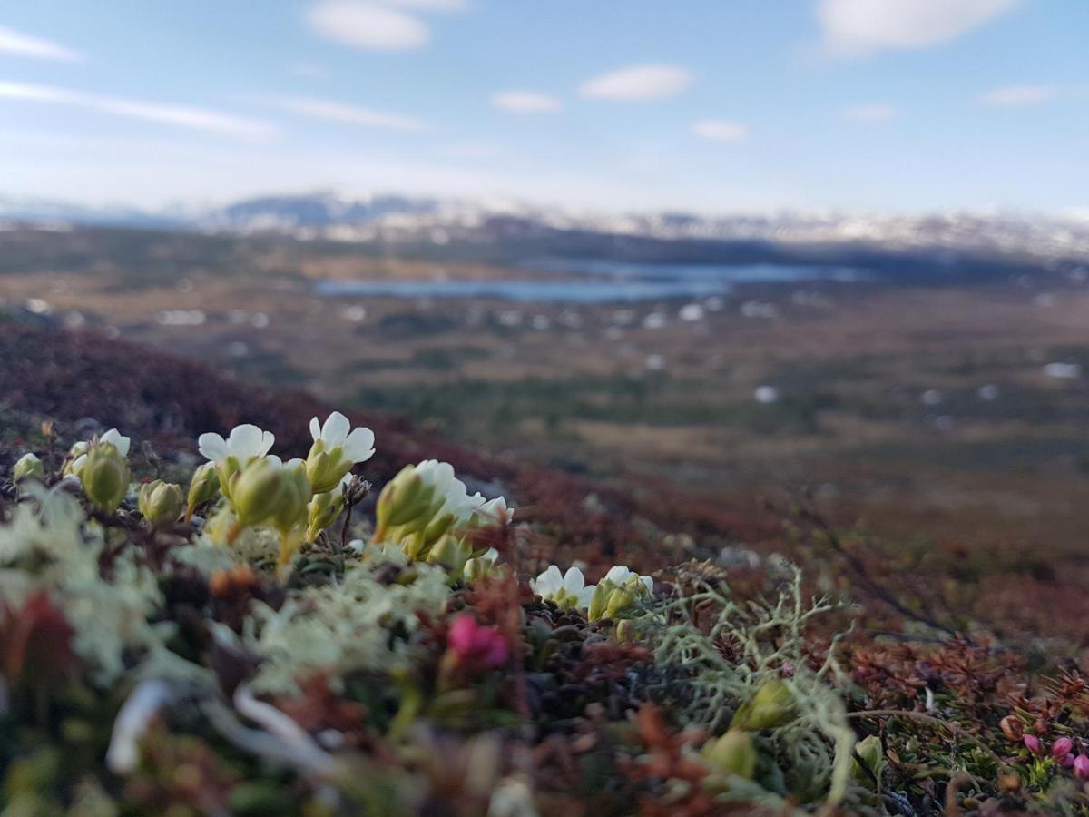 Koeja Fjaellhotell Edsasdalen エクステリア 写真
