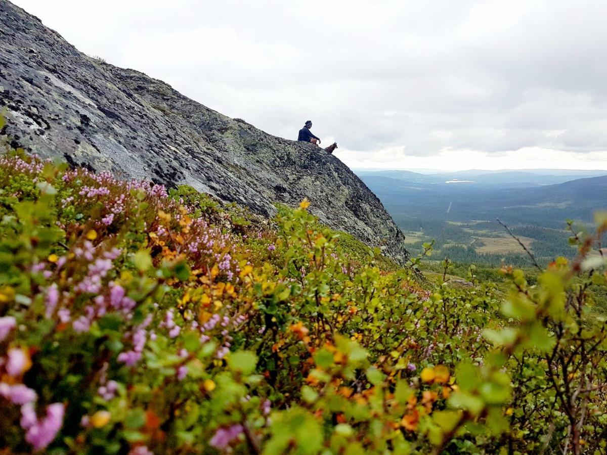 Koeja Fjaellhotell Edsasdalen エクステリア 写真