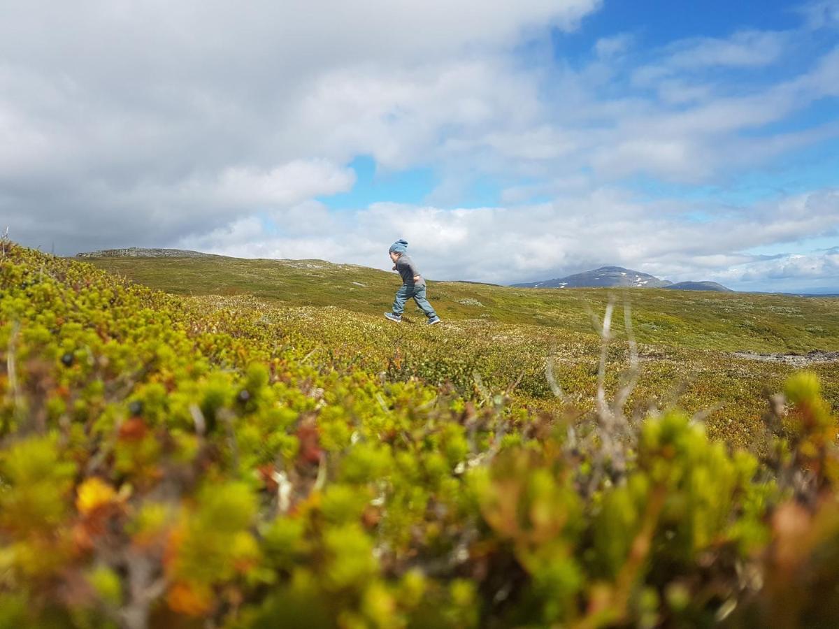 Koeja Fjaellhotell Edsasdalen エクステリア 写真